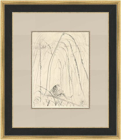 Salvador Dali - La Saule Pleureur from ‘Les Amours de Cassandre’ Framed