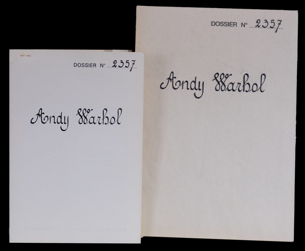 Andy Warhol; Galerie Ileana Sonnabend Cover