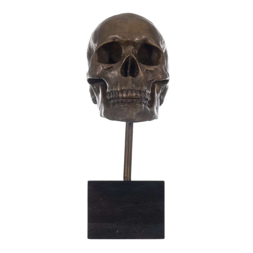 Manship Skeleton Head Bust Bone Bronze Sculpture Thumbnail