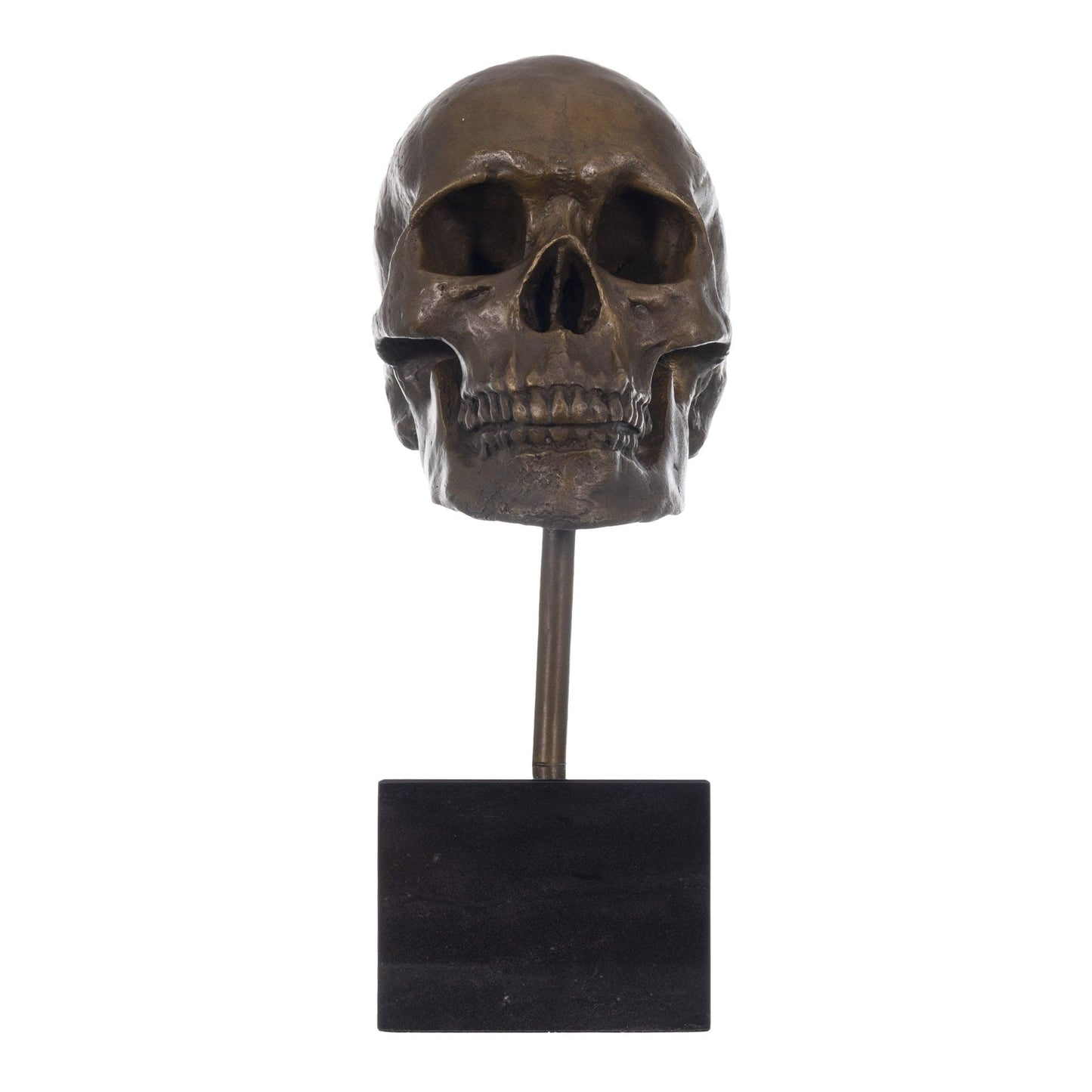 Manship Skeleton Head Bust Bone Bronze Sculpture ZOOM