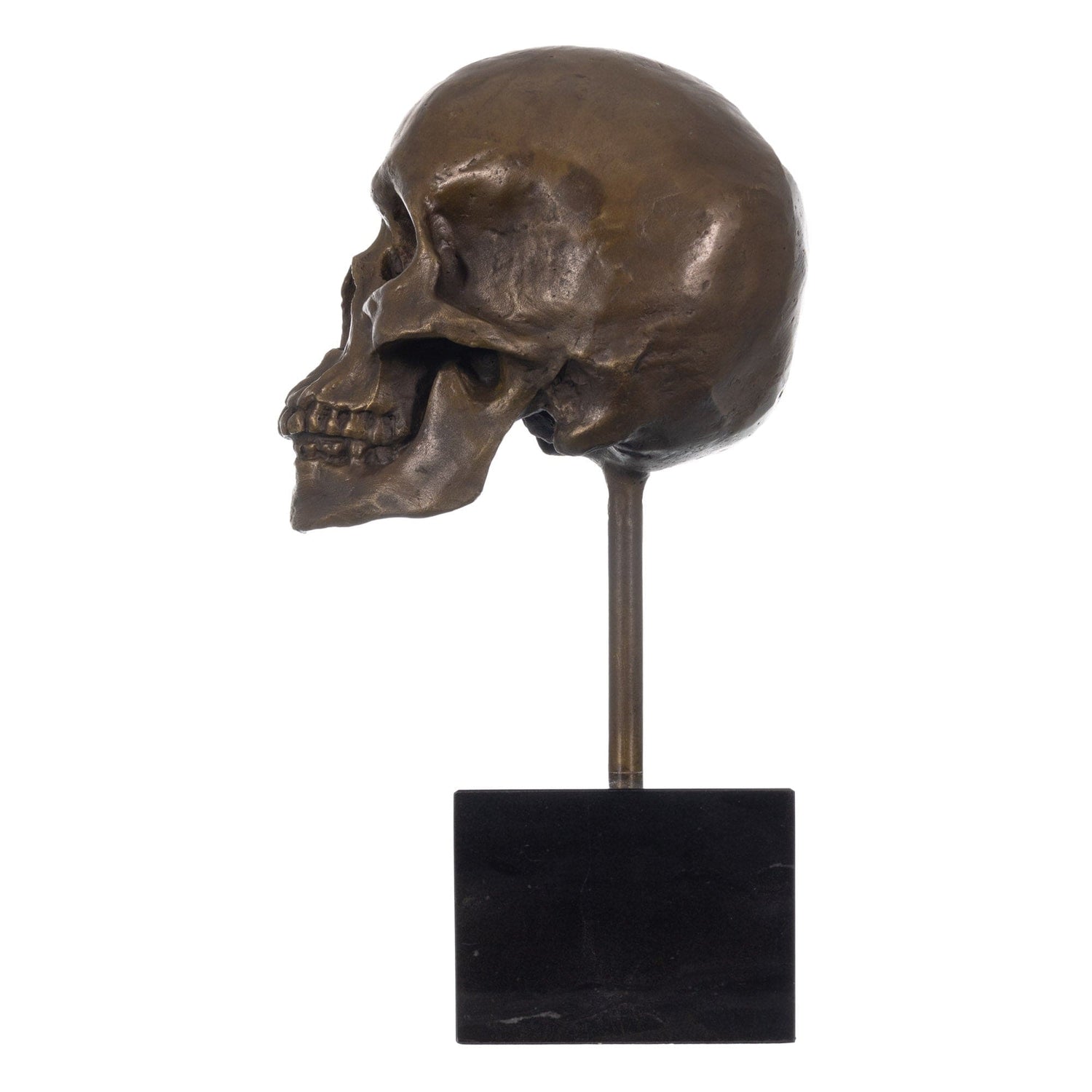 Manship Skeleton Head Bust Bone Bronze Sculpture Side