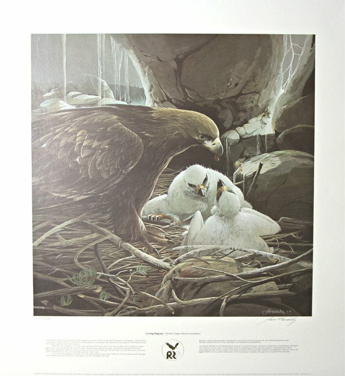 Mario F Fernandez; "Loving Majesty - Golden Eagle"