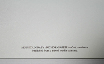 Carl Brenders; "Mountain Baby - Bighorn Sheep"