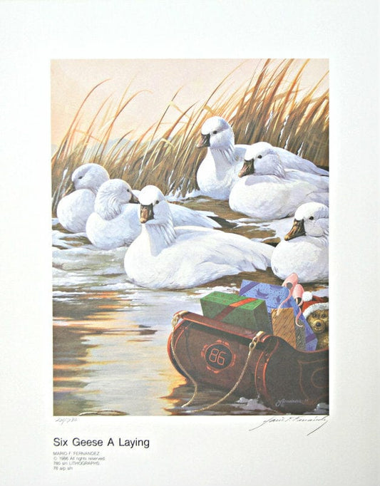 Mario F Fernandez; "Six Geese A Laying"