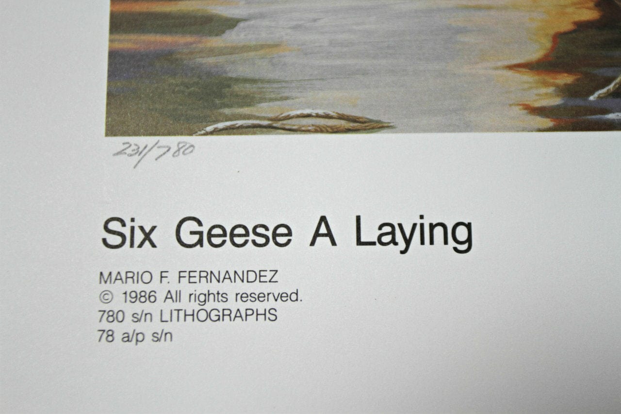 Mario F Fernandez; "Six Geese A Laying"