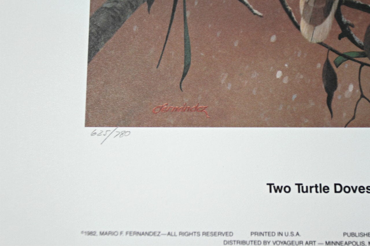 Mario F Fernandez; "Two Turtle Doves"