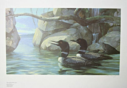 Mario F Fernandez; "The Call of the Loon" Art G S Pawn Default Title