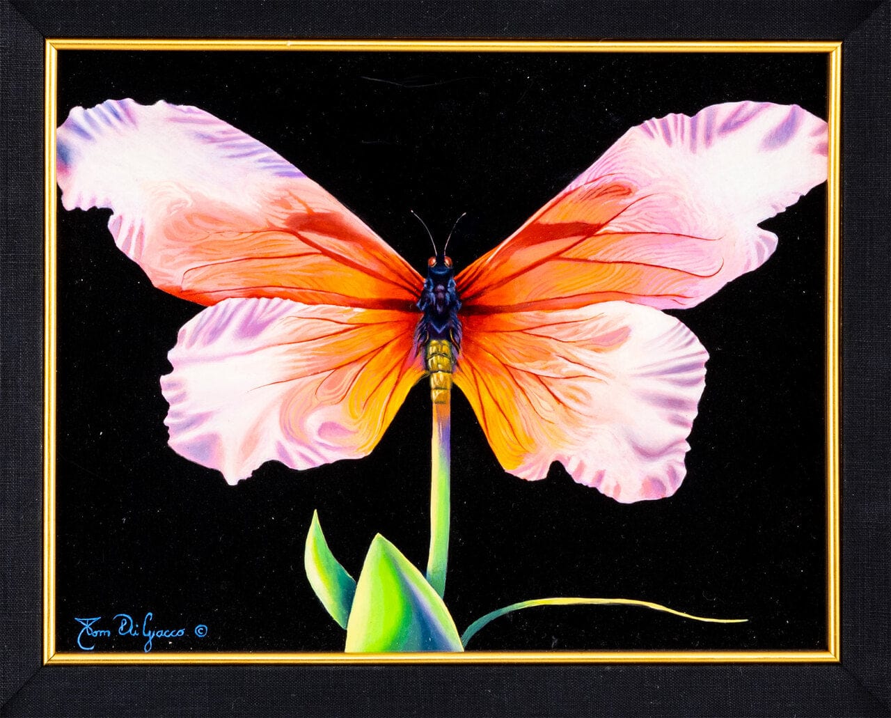 Tom di Jacco; Surrealist Butterfly