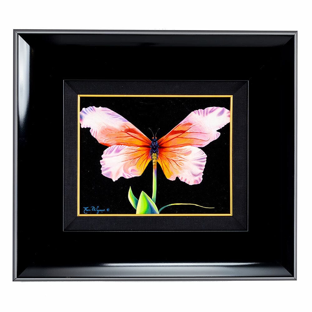 Tom di Jacco; Surrealist Butterfly framed
