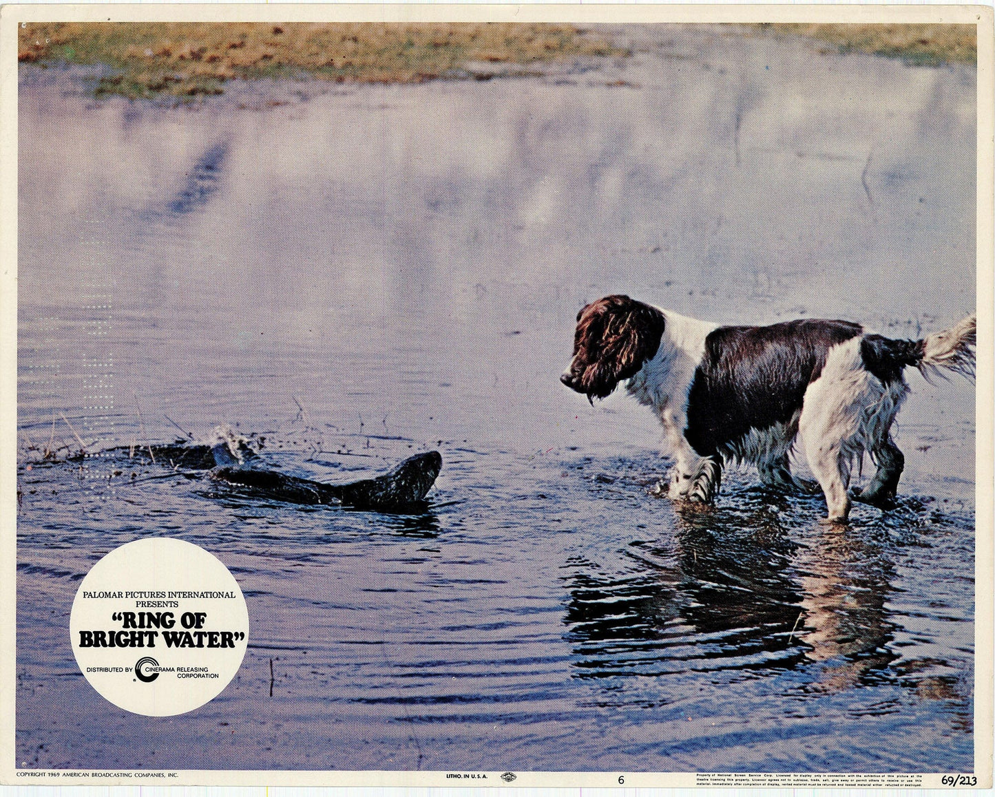 Ring of Bright Water Movie Lobby Card