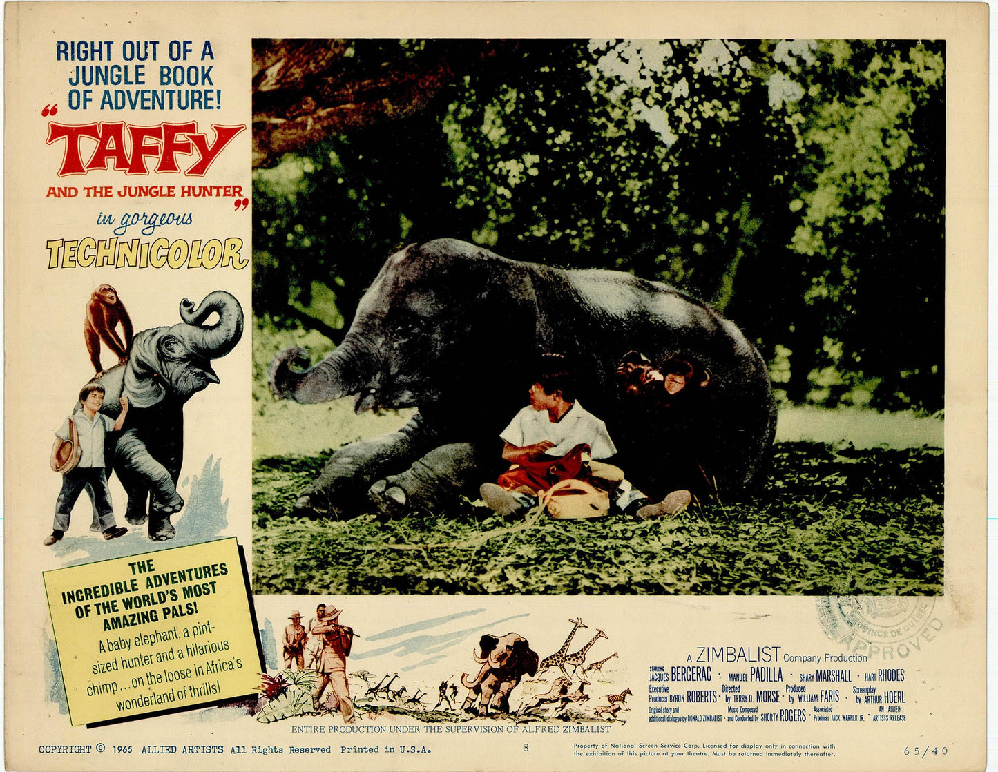 Taffy and the Jungle Hunter Movie Lobby Card