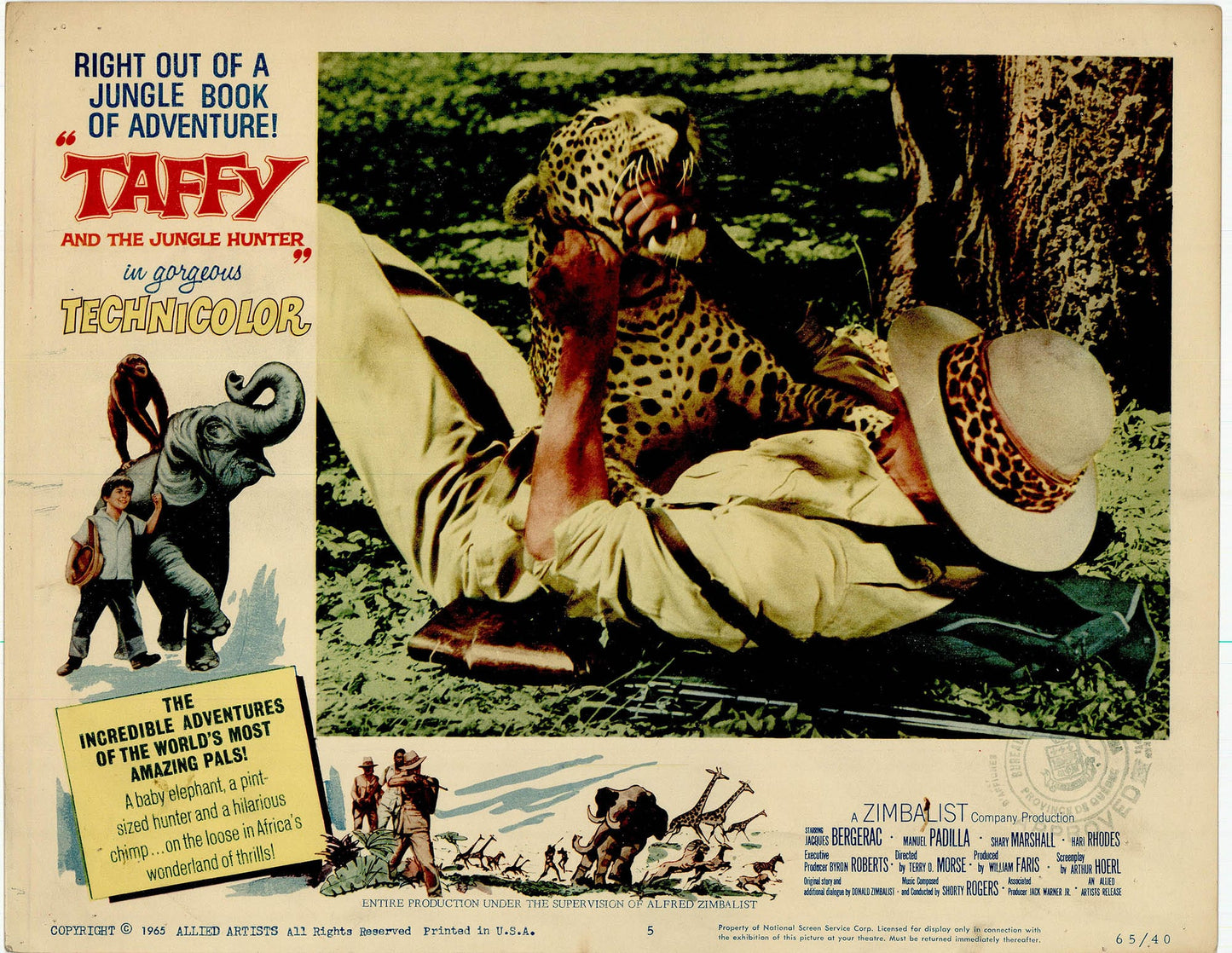 Taffy and the Jungle Hunter Movie Lobby Card