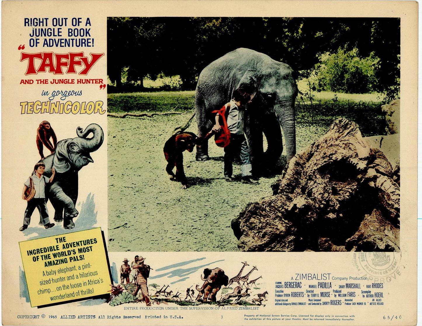 Taffy and the Jungle Hunter Movie Lobby Card