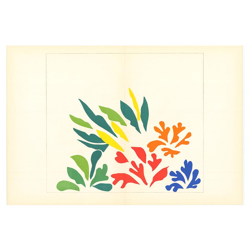 Henri Matisse; Acanthes Thumbnail verve lithograph Edition: Vol. 9 No. 35-36