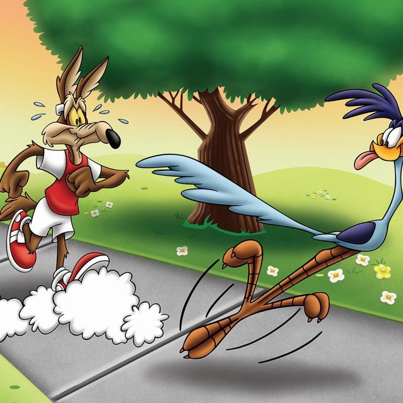 Looney Tunes; Wile E and Road Runner Race