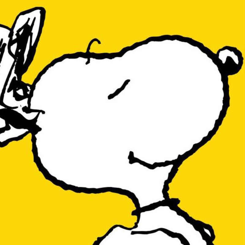 Peanuts; Snoopy: Yellow