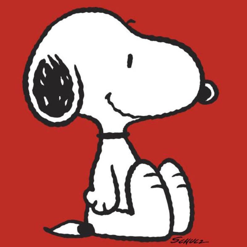 Peanuts; Snoopy: Red