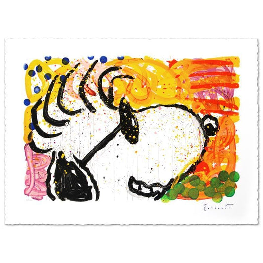 Tom Everhart; Pop Star