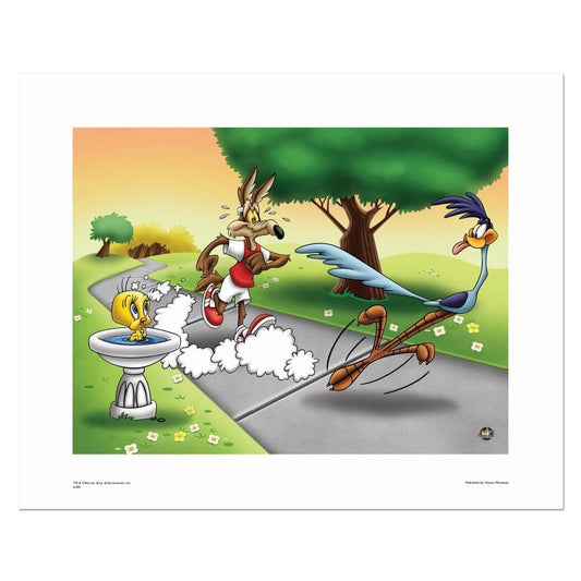 Looney Tunes; Wile E and Road Runner Race