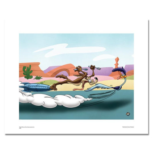 Looney Tunes; Desert Chase