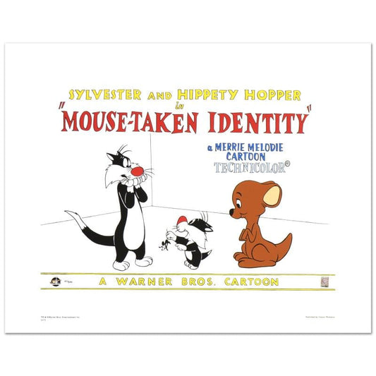 Looney Tunes; Mouse-Taken Identity