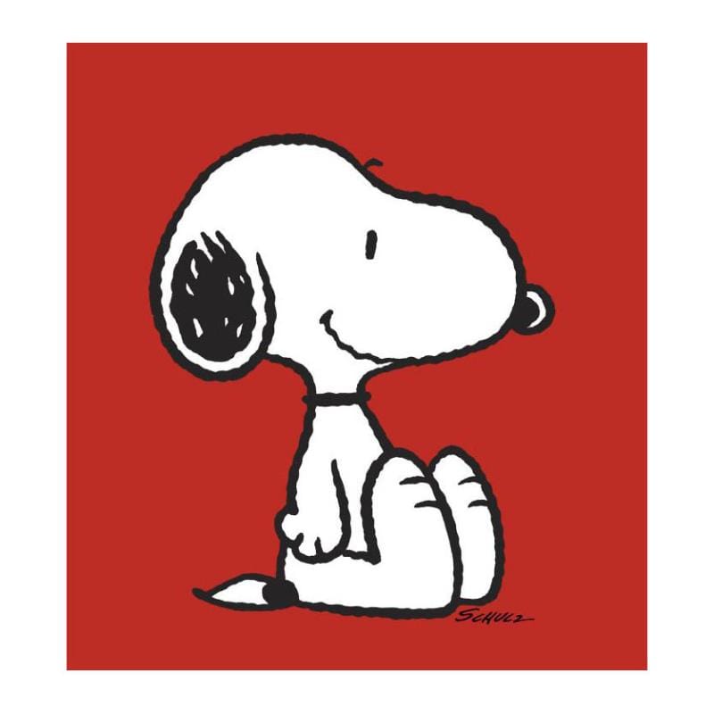 Peanuts; Snoopy: Red