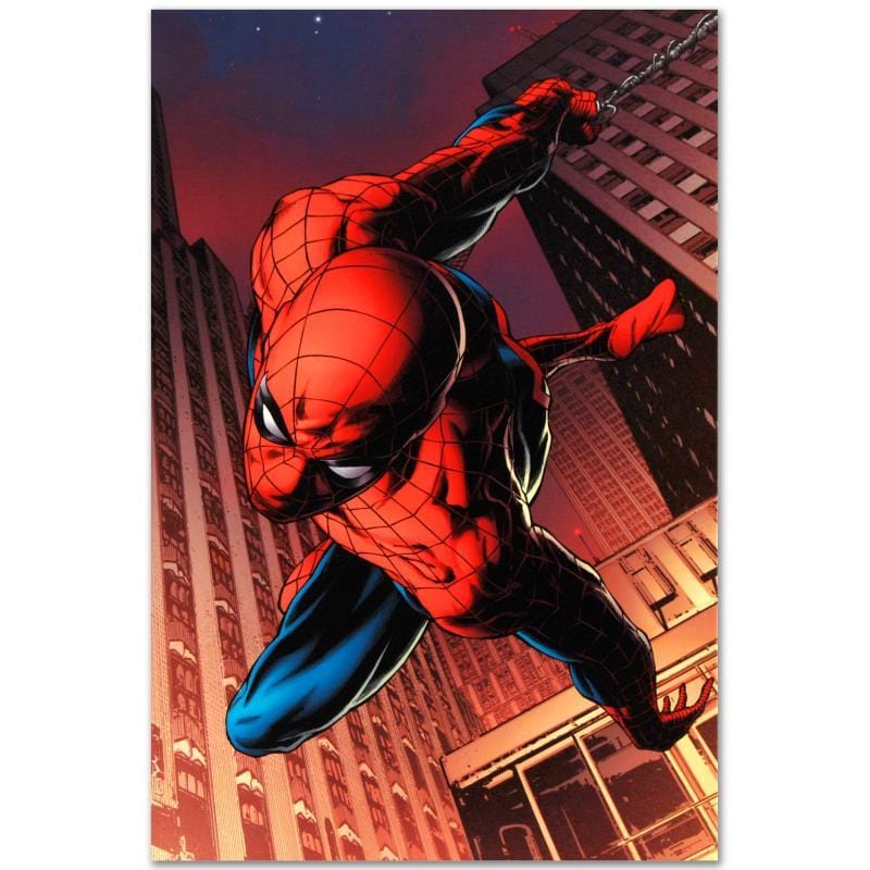 Marvel Art; Amazing Spider-Man #641